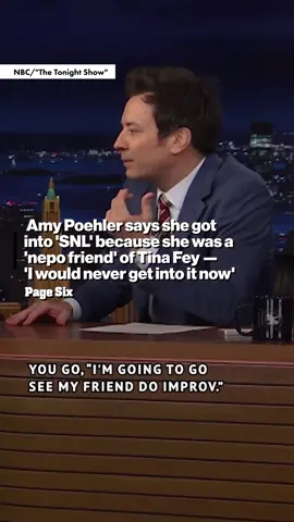 Amy Poehler revealed how she landed her spot on 