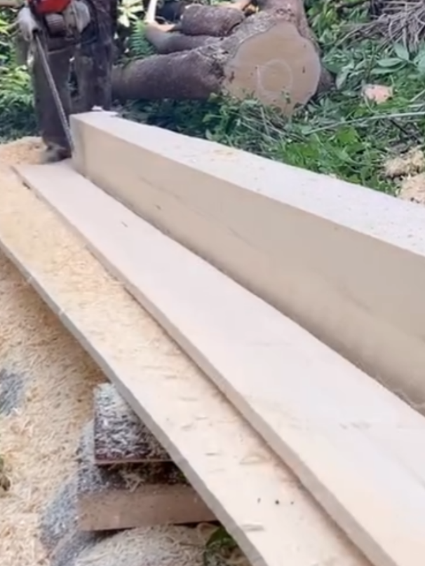 #woodenboard #chainsawskills #chainsawmill #plank #ms070 #chainsawlife #sawingwood #treecut #oldstihl #lumberjack #chainsaw #chainsawmaster 