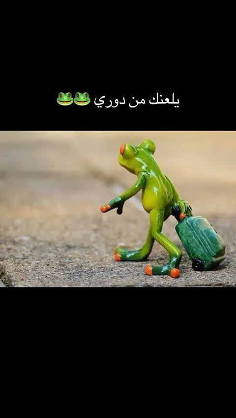 العالمي يرسل الضفادع الى مكانه المعتاد ( المستنقع ) 🐸🐸😂😂😂😂😂😂#النصر #الاهلي #الاتحاد #الهلال #دوري_روشن_السعودي 