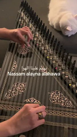 Nassam alayna alhawa نسم علينا الهوا #feirouz #libanon🇱🇧 #cat #catsoftiktok  ‎#فيروز #البنت_الشلبية  ‎#آلة_القانون ‎#موسيقى_شرقية ‎#عازفة_قانون ‎#أنغام_شرقية ‎#عالم_القانون ‎#عزف_القانون‎ ‎#القانون_العربي ‎#محبة_القانون ‎#قانون_الموسيقى ‎#نغم_القانون ‎#تدريب_قانون ‎#عازف_مبتدئ ‎ #feirouz #arabicmusiclovers #arabicmusic #arabicmusiclovers #KanunMusic#OrientalInstrument #QanunPlayer #KanunJourney #TraditionalMusic #EasternMelodies #KanunVibes #MusicWithSoul #QanunLove #InstrumentalMusic #KanunLife #BeginnerKanun