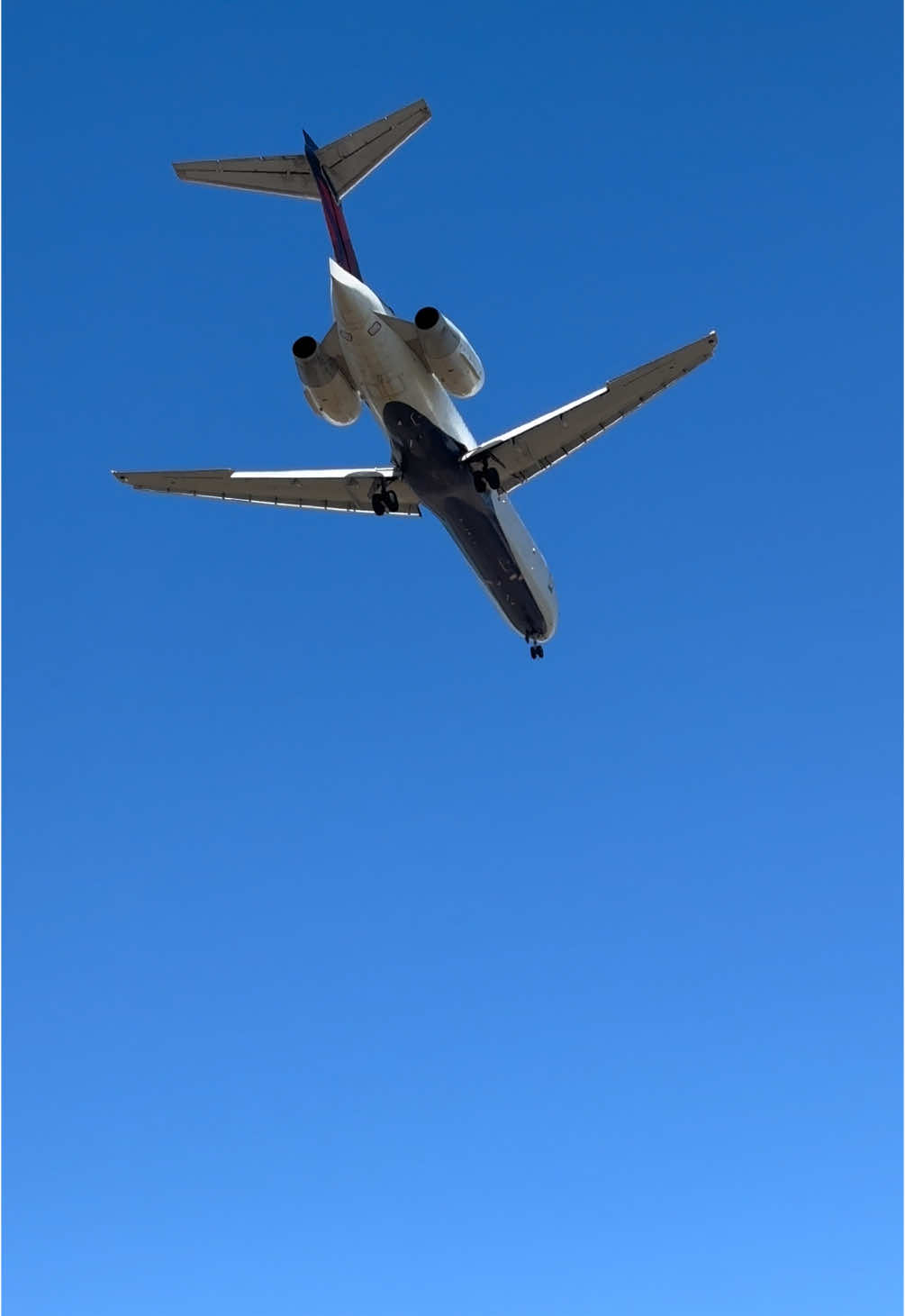 I was a bit obstructed, buy I still like it. Different perspective for sure! 🫣🤣 Plane: Delta Air Lines  Plane Type: Boeing 717-2BD Flight: Detroit, MI (DTW) to Myrtle Beach, SC (MYR) Reg.: N983AT Date: January 28th, 2025 #myrtlebeachplanes #myrtlebeach #myrtle #myrtlebeachsc #southcarolina #planespotting #planespotter #planespotters #myrtlebeachairport #fly #flymyrtlebeach #travel #airplane #asmr #reels #reelsinstagram #explore #explorepage #myr #kmyr #vacation #fyp #viralvideos #viral #atl #deltaairlines #boeing #boeing717  @delta 