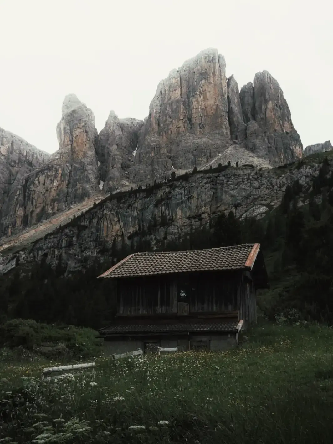 a distant and calm place just peace🖤🌲🗻#naturevibes #newvibes #nature #vibes #florest #darkaesthetic #foryoupage❤️❤️ #fyp #viral #foryoupage 