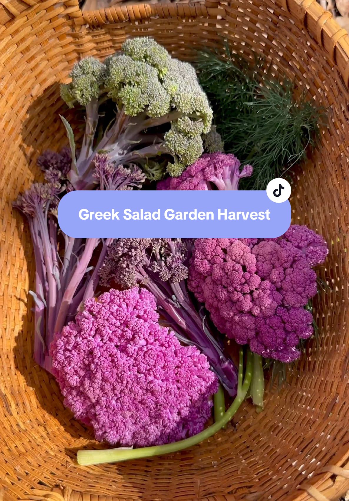 Garden Harvest and Greek Salad with Cauliflower and Brocoli #gardenharvest #harvesttime #growyourownfood #backyardgarden 