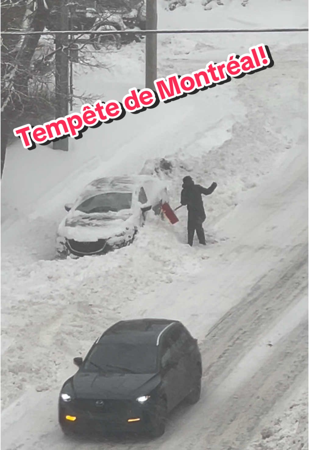 What's happening today in Montreal!  #quebecois #montreal #tempetedeneige #tabarnak #esti #câlisse