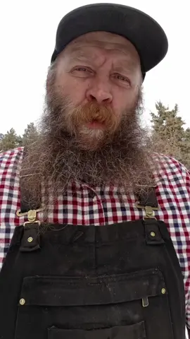 Wild Willy's beard straightener is awesome!! #beard 