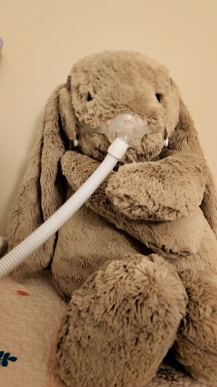 WHY DOES SHE ACTUALLY LOOK MAD THO #jellycat #jellycatbunny #stuffedanimals  #kardashians #funny #humor #medicaldevice #lungtransplant #lungfailure #terminalillness #bipap #oxygen #lungtransplantsurvivor #organrejection #lungrejection #immunocompromised  #lungtransplantrecipient #pulmonaryhypertension #gastroparesis #bonemarrowtransplant #cancersurvivor #childhoodcancerawareness #transplant #chronicillness #chronicillnessawareness #spoonie #bronchiolitisobliterans #gvhd #rarediseaseawareness #donor #organdonor #hospital #grateful #teen #donatelife #fyp #trending #viral #trend 