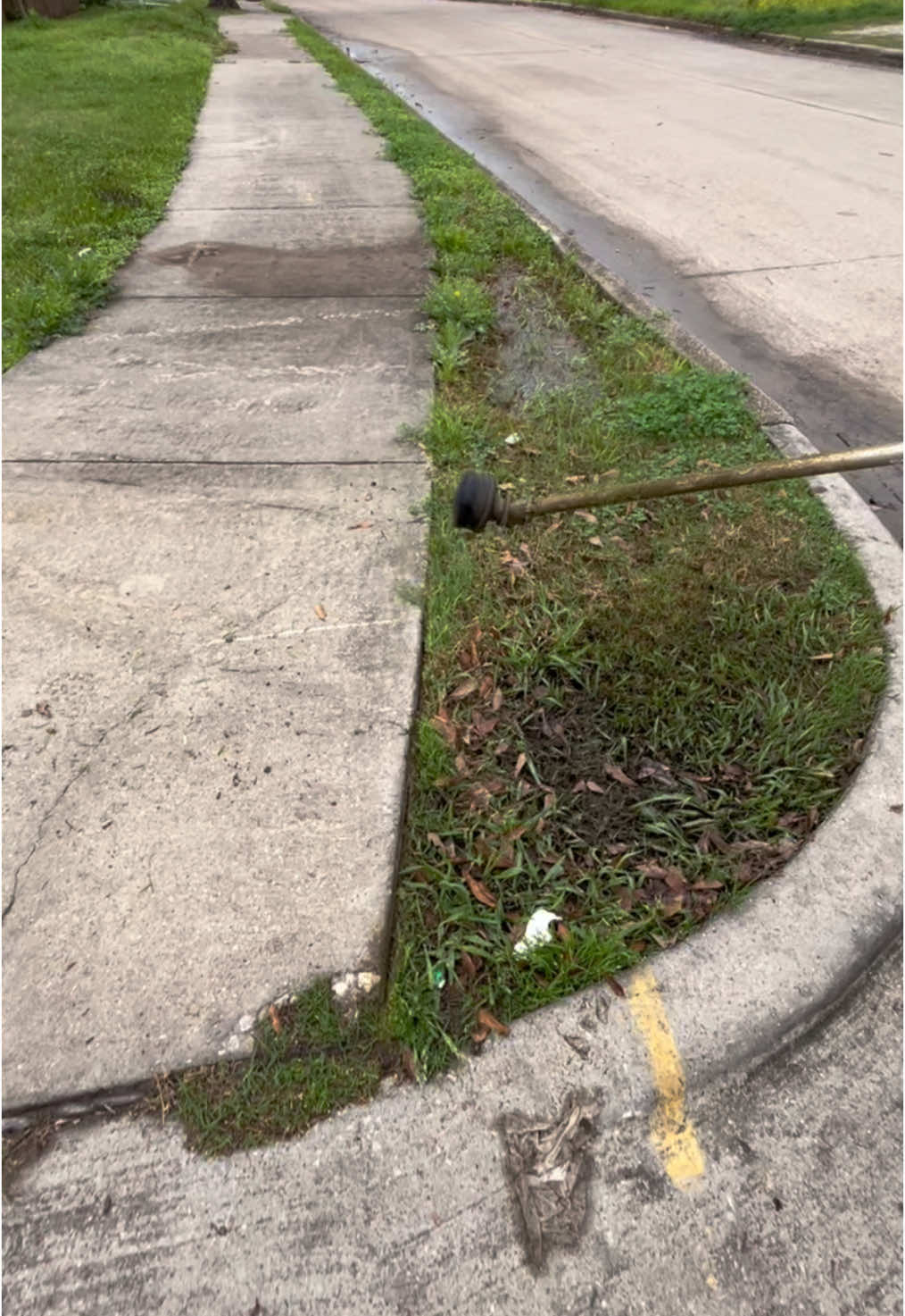#grass #landscaping #lawn #lawncare #satisfyingvideo #overgrown 