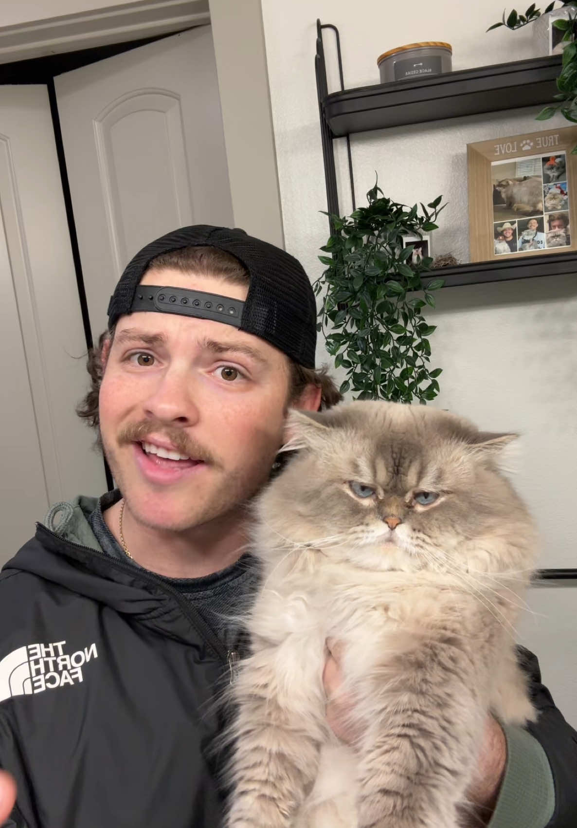 Welp… he’s my son… Insta: @gusnsuch @gasperdanna #fyp #funny #catsoftiktok 