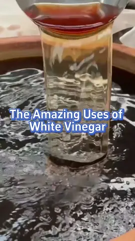 #plants #garden #farmlife #farm #planting #gardening #plantingtips #gardeningtips #whitevinegar #vegetable #veggies #agriculture 