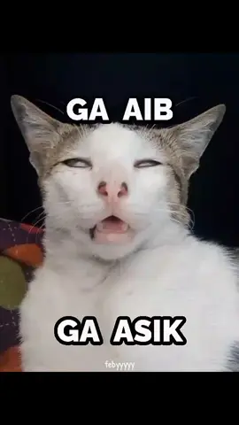 maaf mas😭🙏@inij_jiib🅱️  #masnajib #masnajibgwsm #jib #xyzbca #foryou #masukberanda #fypp #banturamein #fypシ゚ #gwsm_editz #gwsmlovers👹 #pyf #aib 