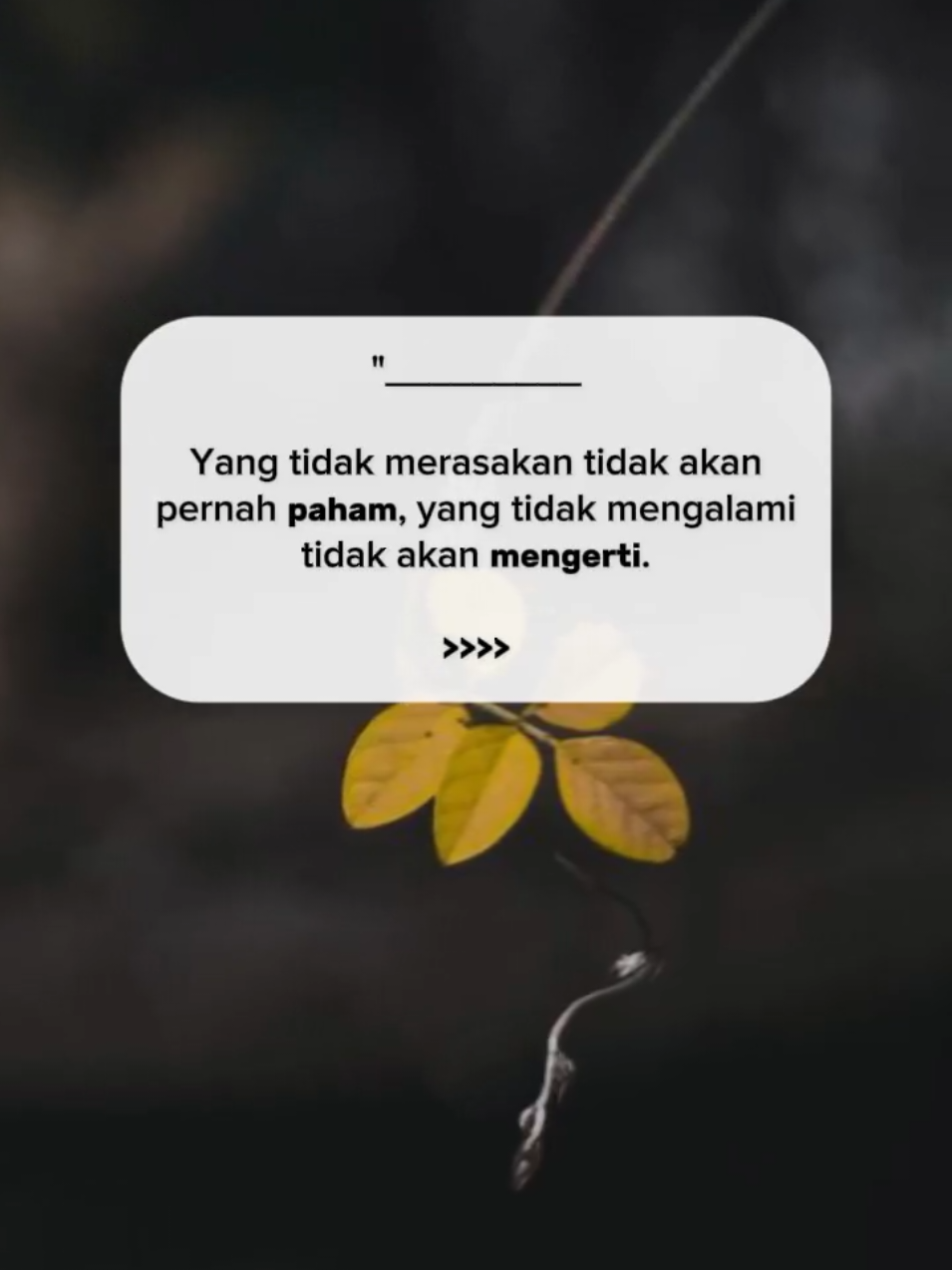 #CapCut #trend #daily #bismillahfyp #sigupai0 #padahariini #status #storytime #semangat #reminder #viral #qoutes #katakatamotivasi #fyp #katakatabijak #storywa #katakata #trending #fypdong #katabijak 