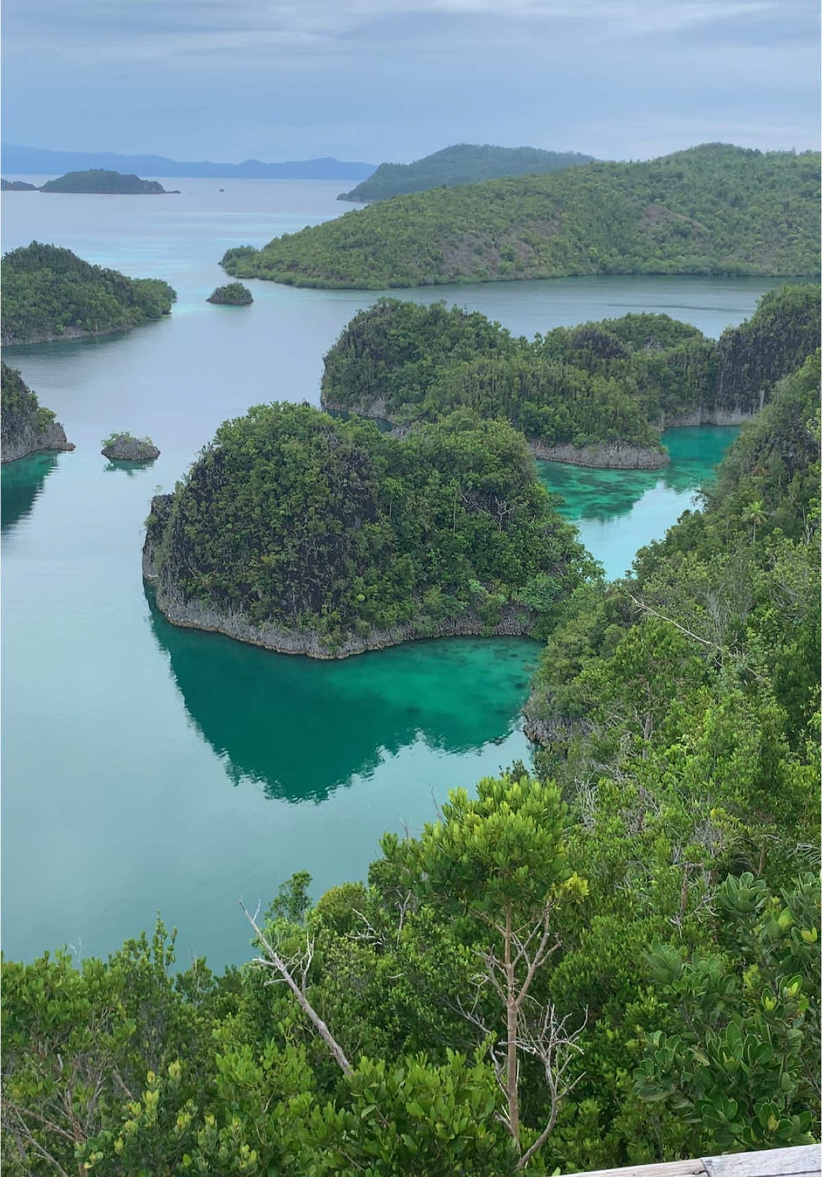 #rajaampat #pieynamo #westpapua #papuabarat #indonesiatourism 