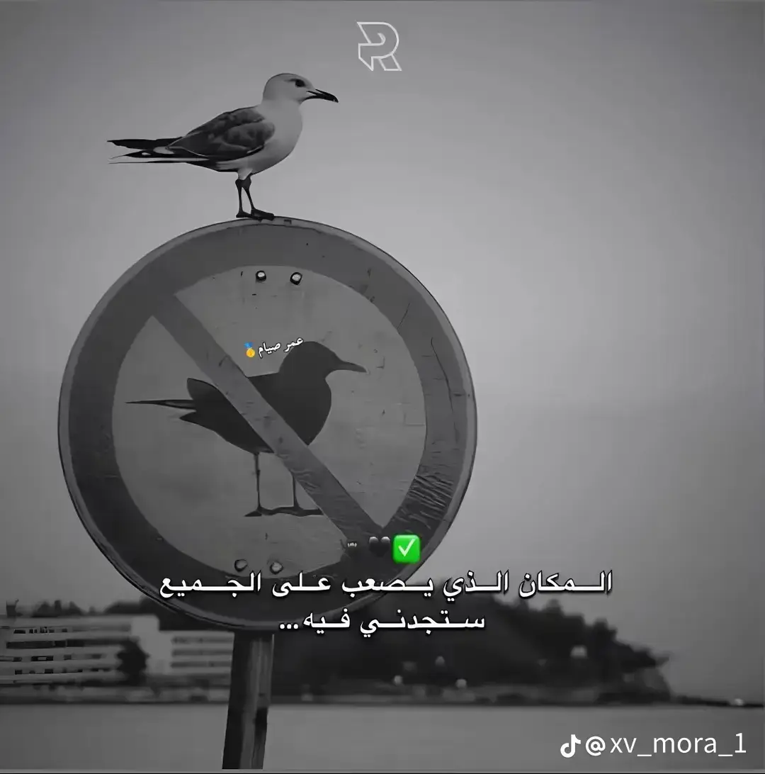 #لايكات