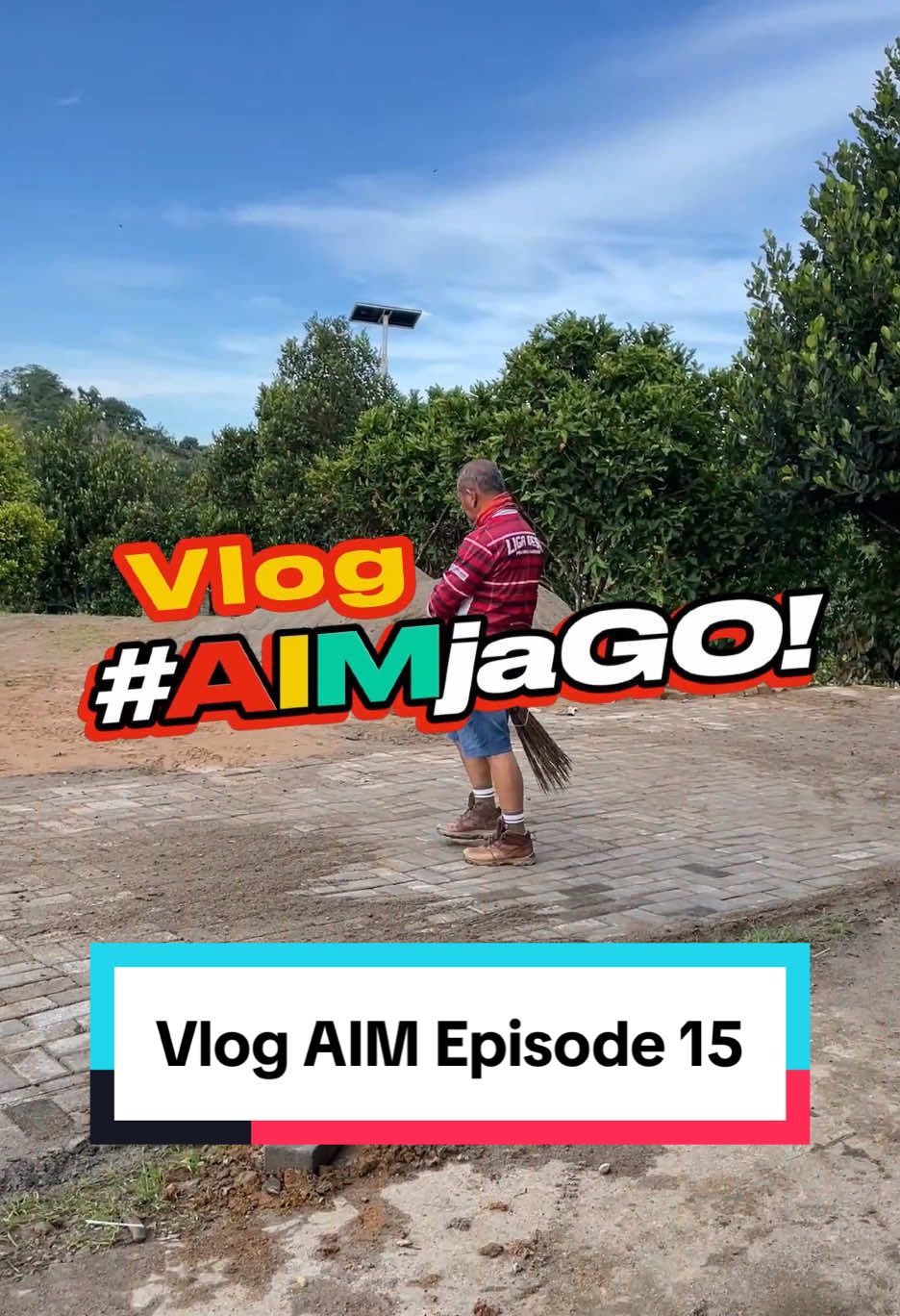 #aimvlog 🟥🟡💚 Halo warga Sulbar jago yang saya cintai. Mari kita panen nangka. Kali ini kita kembali ke kebun Bulo untuk makan nangka merah yang sudah matang.  Bagi teman-teman sosmed saya, tidak usah malu-malu dan sungkan. Datang saja ke kebun saya untuk mencoba hasil kebun AIM jago. Gratis asal sama-sama bahagia. Terimakasih, petani Sulbar jaGO! #kitaaim #influencer #petanijago #pertanian #sulawesibarat