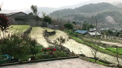 Bình yên ..☺️