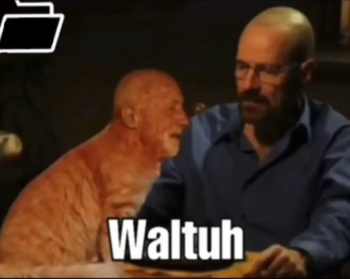 I’m a cat, waltuh. you need to feed me waltuh, I want lasagna waltuh “meow meow” I hate mondays “meow meow” 🐈#breakingbad #walterwhite #fyp #mikeehrmantraut 