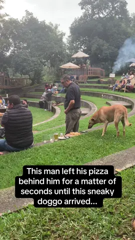 Afterwards the dog stayed a few meters away eating the pizza, and the man just laughed and let him eat in peace 😭🍕 If you’re looking for a page that posts the best viral videos, this page is definitely for you ❤️#RoadTo17Million #Pubity  (Lone Feathers via ViralHog)
