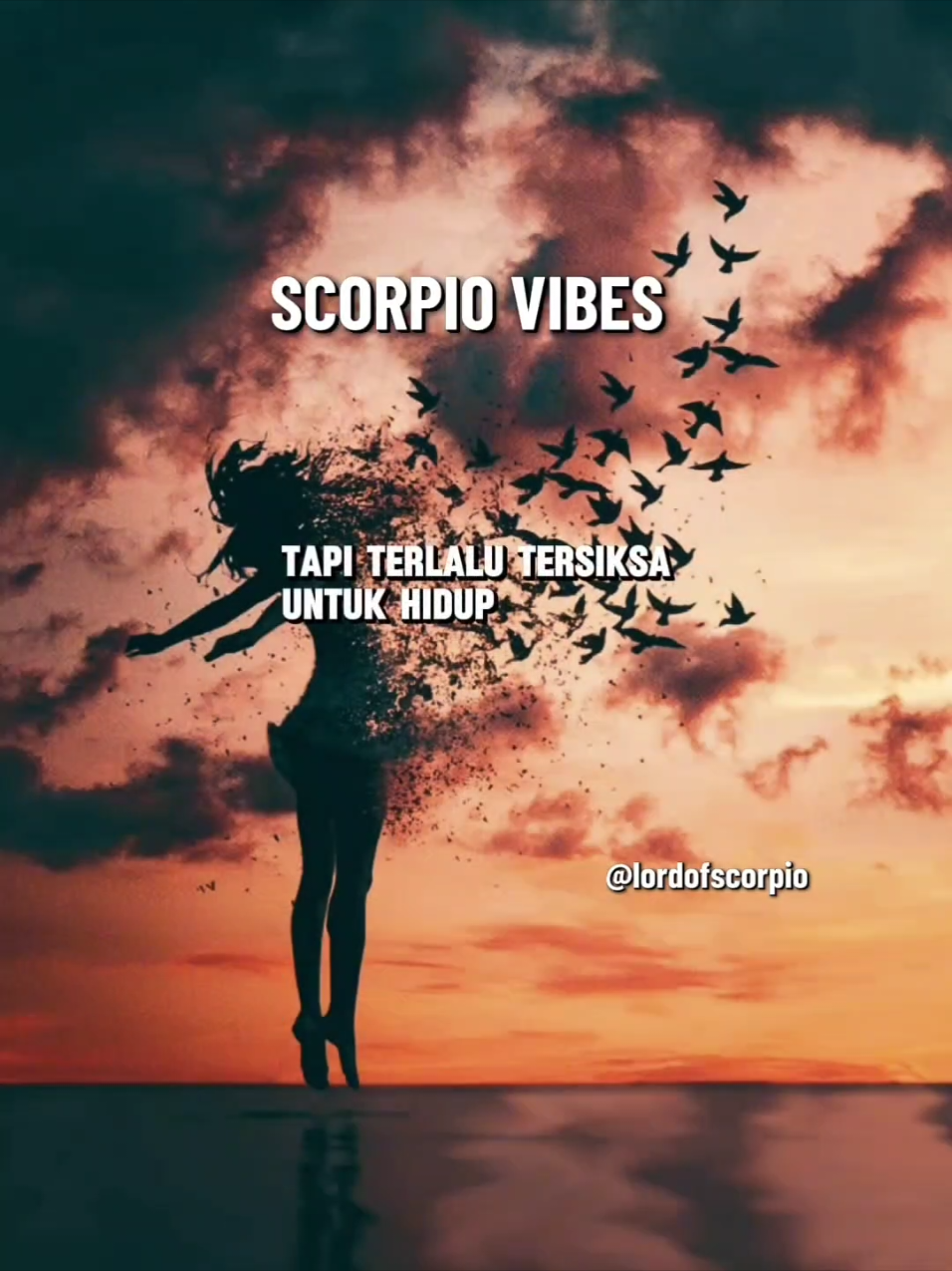 scorpio vibes 👌  #scorpio #scorpio♏️ #zodiacsigns #zodiac #zodiak #masukberanda #fypシ゚ #fyp 