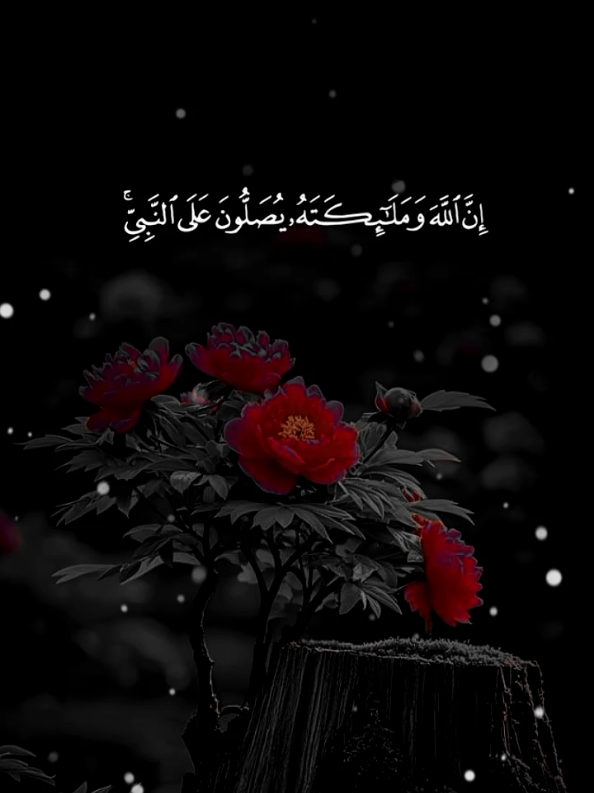 قرآن كريم #قران_كريم  #لا_اله_الا_الله #محمد_رسول_الله #صلى_الله_عليه_وسلم 