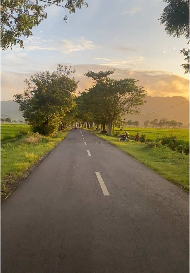 ada yg tau di jalan mana?#pesonajember #jember #infojember #sunset #mampirjember #wisatajember 
