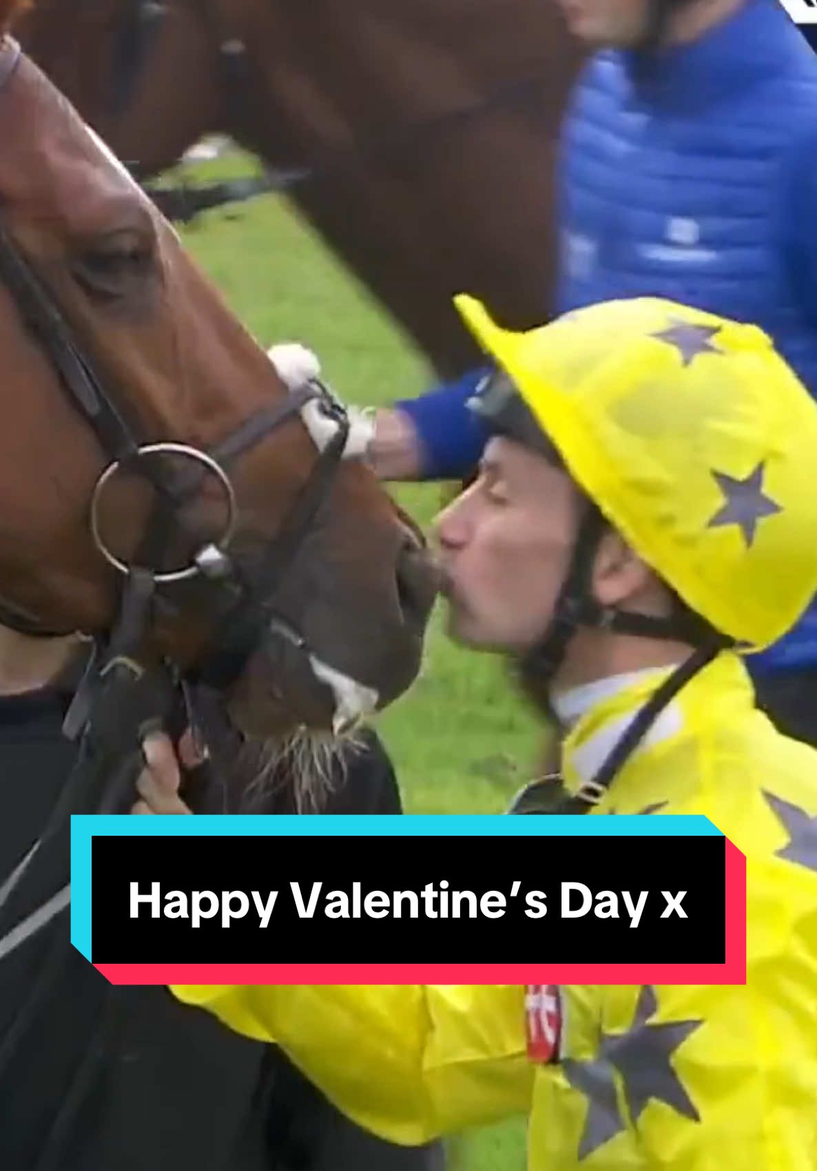 Happy Valentine’s Day x  #horse #horses #horsesontiktok #horsesoftiktoktok #horseracing 