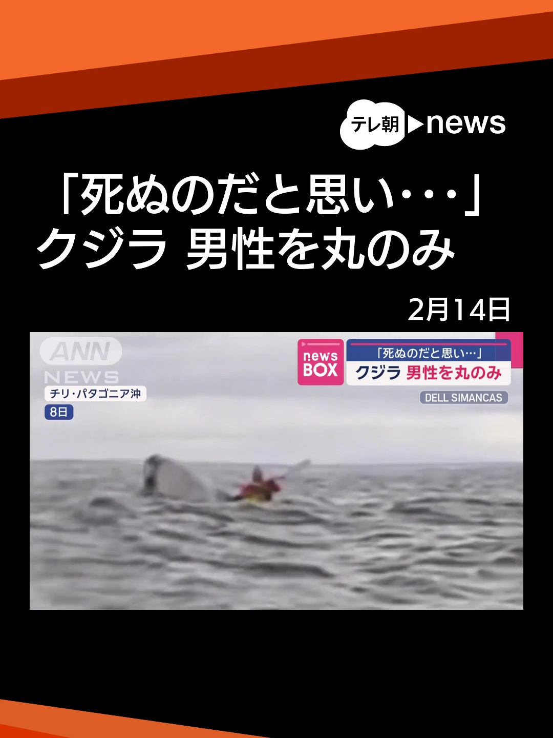 「死ぬのだと思い…」クジラ 男性を丸のみ　チリ#tiktokでニュース #テレ朝news