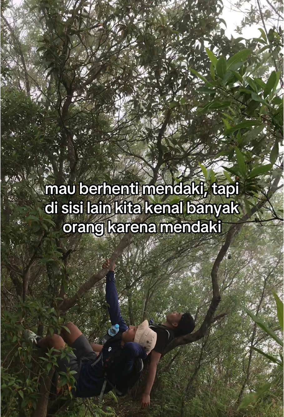 #pendakigunung #pendakiindonesia #pergasingan #bukitpergasingan #sembalun #fyp #foryou 