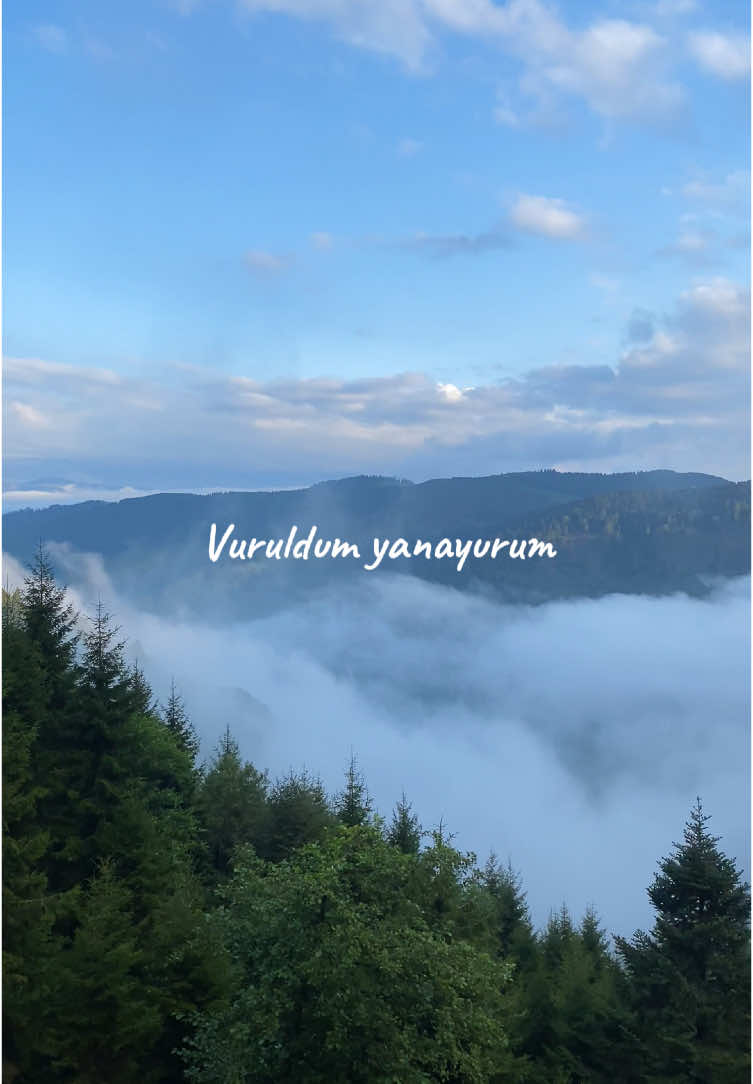 Vuruldum yanayurum#karadeniz #karadenizşarkıları #karadenizli #keşfetteyizzz #gamzeşeker #giresun #dereli #yayla @Gamze Şeker 