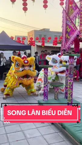 Hai Chú Lân Song Kiếm Hợp Bích Tạo Lên Màn Biểu Diễn Đẹp Mãn Nhãn #liondance #lansurong 