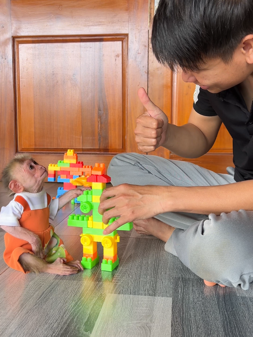 Smart baby monkey Moon helps dad build lego. #monkey #babymonkey #monkeydluffy #cutemonkey #monkeysoftiktok #usa_tiktok #usa🇺🇸 