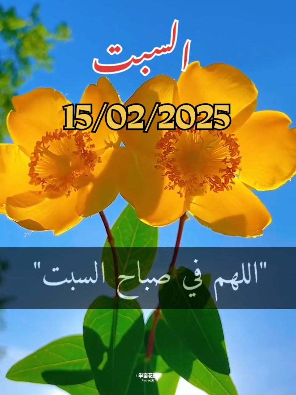 اللهم_في_صباح_يوم_السبت_يارب #دعاء_يريح_القلوب _أنشر _ اكتب شيء_ سورة الكهف_وصلي على سيدنا محمد ﷺ#اسلاميات_صور_مقاطع_ايات_معلومات_قرآن_مسلم_ادعية_استغفر_الله #fypシ゚viral #1millionaudition #🤲🤲🕋🕋🤲🤲 #عيد_سعيد  Oh mon Dieu, Samedi, Seigneur Oh God, on Saturday Lord