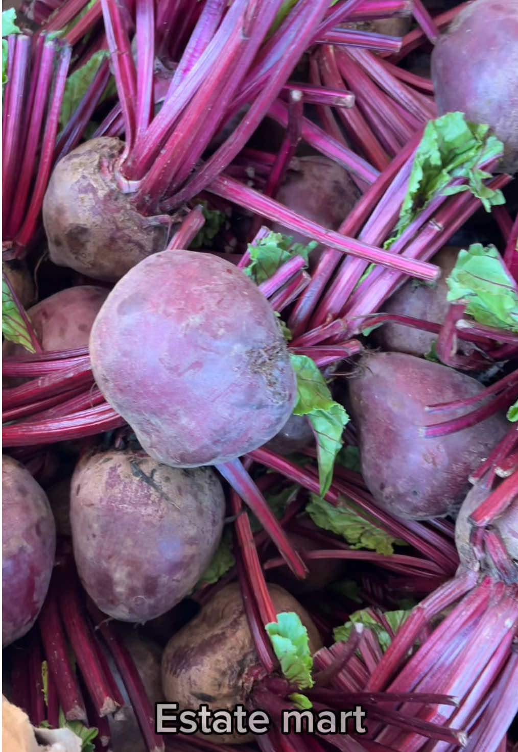 Buah bit ini mampu menaikan hb para bumil dengan cepat 🥰 #buahbit #bit #buahbitmerah #penambahdarah 