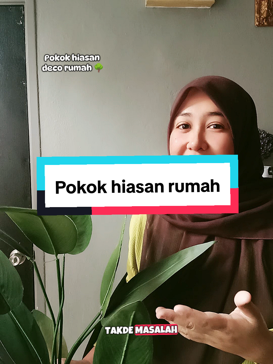 Replying to @aminema_dan_anak2 bolehm jom tengok pokok hiasan ni. lurve sangat. #pokokhiasan #homedecor 