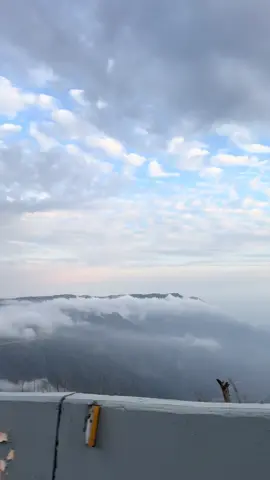 💗 #اكسبلورexplore #الباحة #ضباب  #albaha 