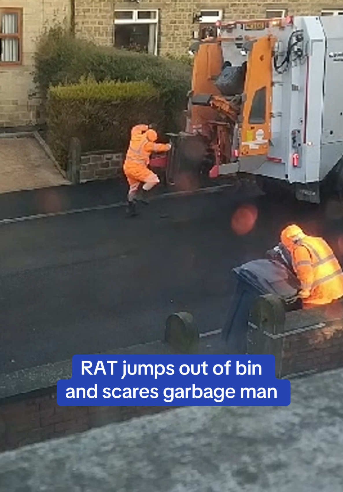 A binman in Huddersfield got a nasty surprise when a RAT jumped out of a bin… leaving the person filming in hysterics.  🎥 Anthony Ormerod via ViralHog #funny #binman #garbage #garbageman #rat #laughing 