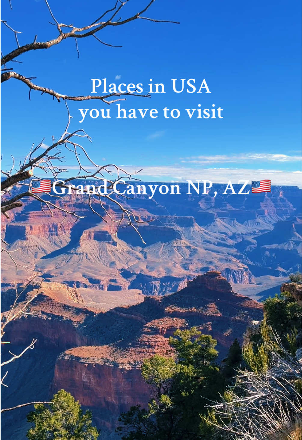 Places in USA you have to visit! Breathtaking 📍Grand Canyon NP! #usa #nationalpark #grandcanyon #roadtrip 