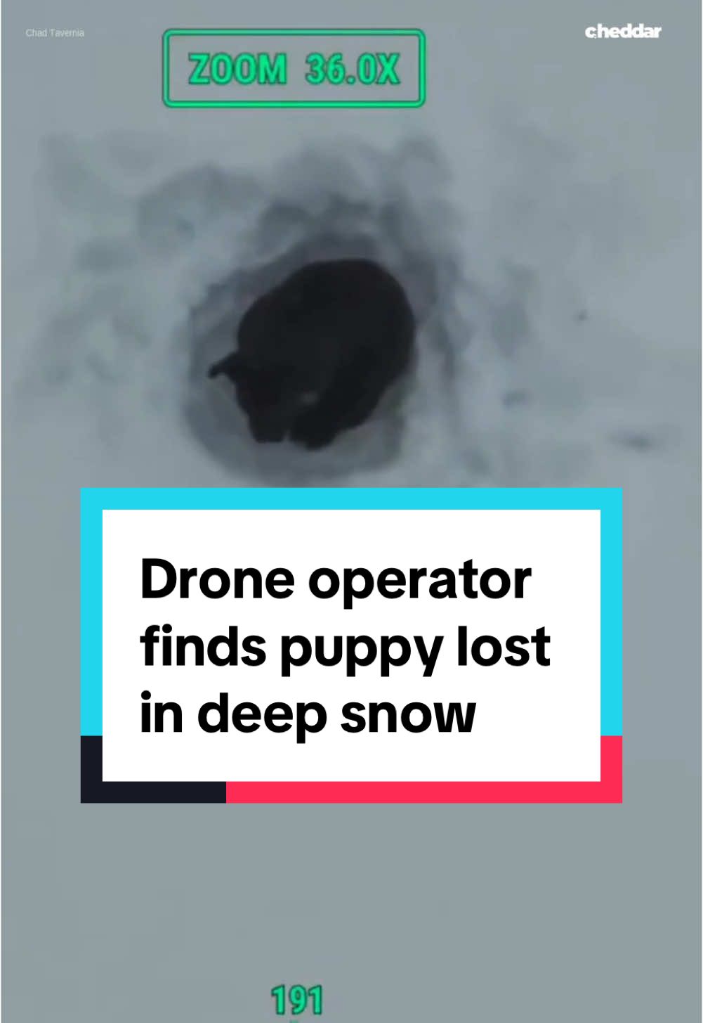 Watch the moment a puppy is reunited with her owner after being lost in the snow for 34 hours. Retired New York State police investigator Chad Tavernia is using a high-tech thermal imaging drone to help find missing dogs. Recently, he rescued a 10-month-old puppy who had been lost in the snow for over a day. #police #drone #newyork #snow #puppy #dog #rescue #tech #fyp 