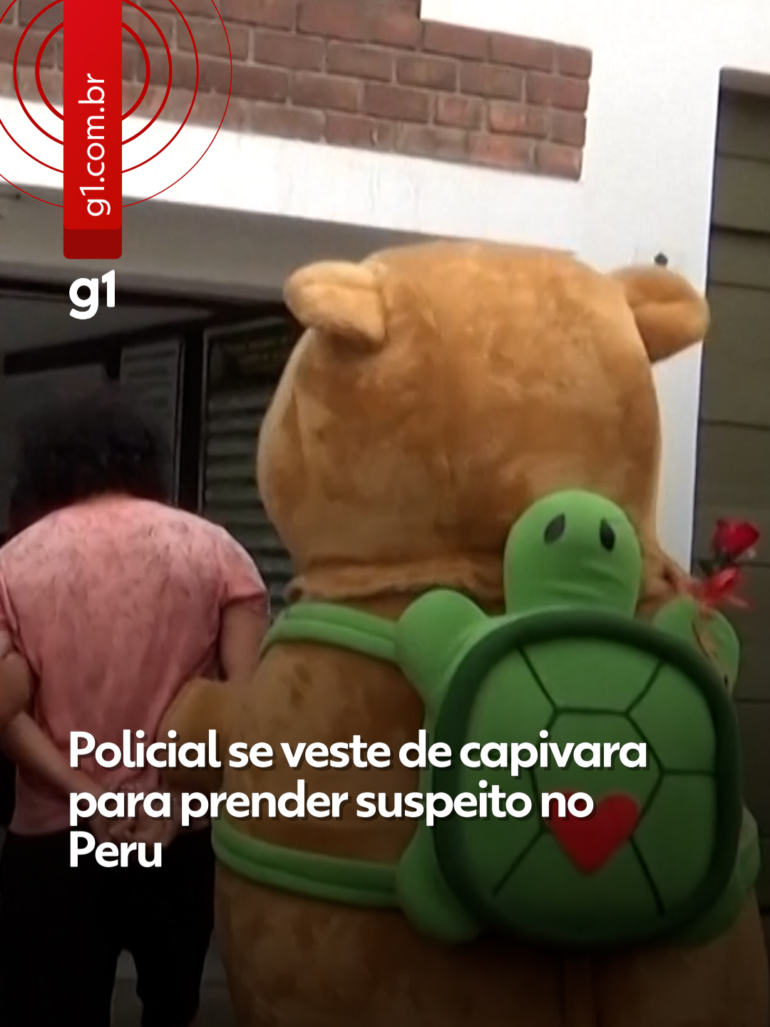 🔍Disfarce perfeito - Um policial fantasiado de capivara prendeu um homem suspeito de tráfico de drogas, no Peru, na quinta-feira (13). Toda a ação foi registrada pelas autoridades peruanas.  Segundo a polícia, o agente estava fantasiado como uma forma de disfarce para o Dia dos Namorados, que é comemorado nesta sexta-feira (14) em parte do mundo. De acordo com o chefe do Esquadrão Verde da Polícia Nacional do Peru, Pedro Rojas, os agentes encontraram cerca de 1.700 pacotes de cocaína e maconha dentro da casa do suspeito. “Percebemos que perto do local eles aparentemente estavam vendendo drogas. Pessoas suspeitas batiam na porta, alguém saía e dava um pequeno pacote. Isso levantou nossas suspeitas, e decidimos intervir. Usamos essa fantasia de capivara