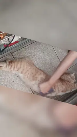 พุงของเธอช่างยั่วยวนชวนให้นึกถึงปลาเผา