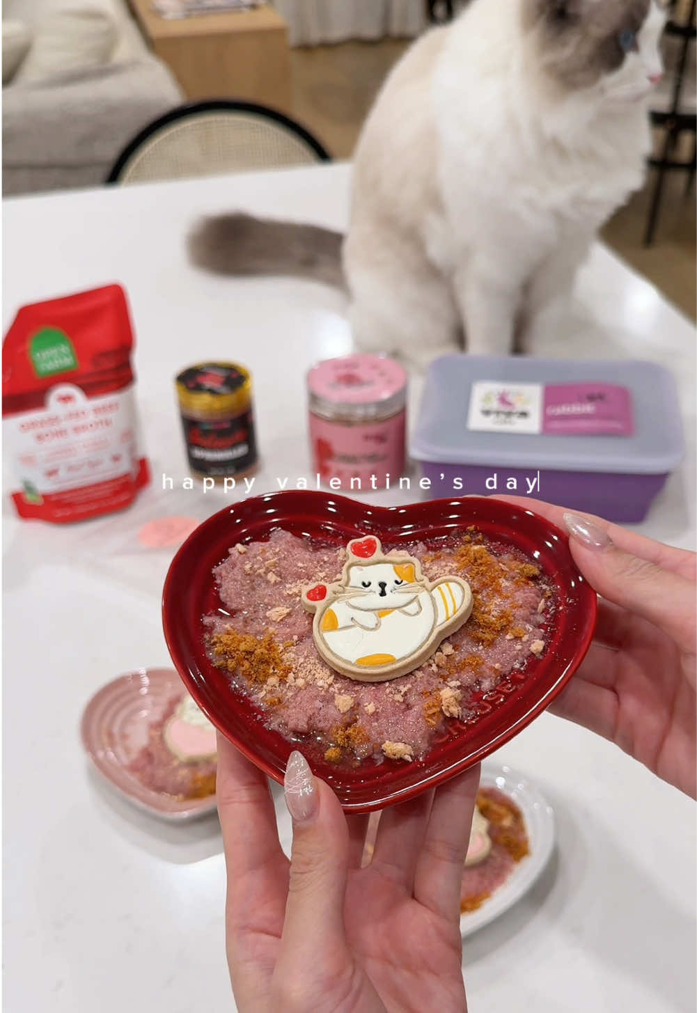 happy valentine’s day 🫶🏻✨ @Viva Raw rabbit for cats @Open Farm Pet beef broth @Cosmicos Petbakery salmon sprinkles @Petit Pawtisserie cat treats @Arya.Sit strawberry yogurt #catfood #feedmycat #catnutrition #catmom #catlovers #rawfeeding #britishshorthair #ragdoll 