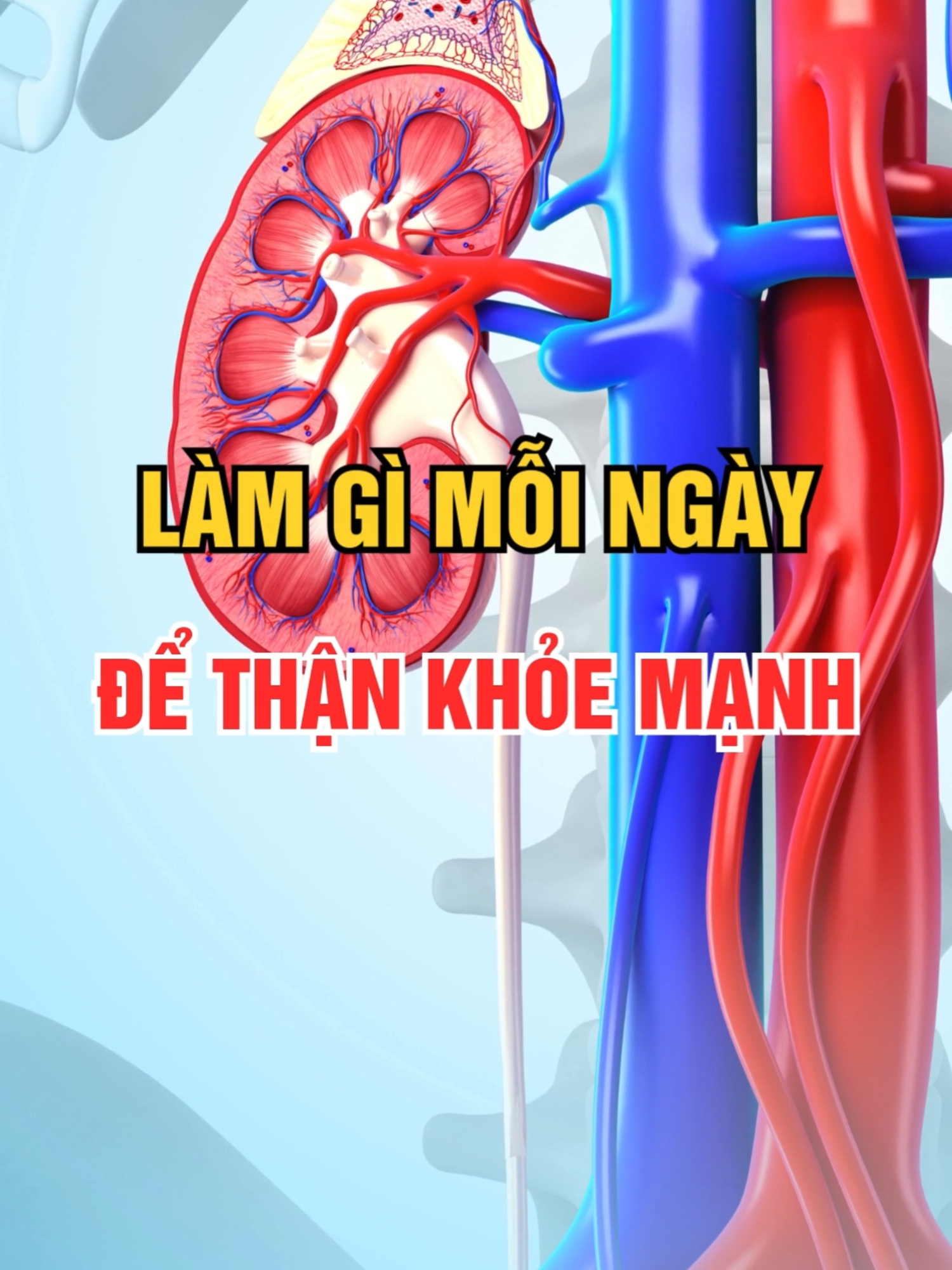 Làm gì mỗi ngày để Thận khỏe mạnh? #songkhoemoingay #than #suckhoe