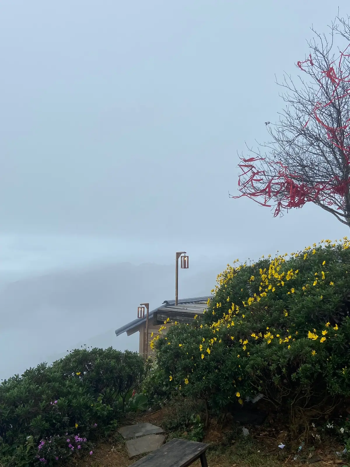 🌧️ #taxua 
