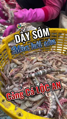 Đến Cảng cá Lộc An là phải đi mua Hải sản đúng không cả nhà? #langbinhyen #peacevillage #homestayphuochai #dulichvungtau 