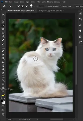 Unlock the secrets to flawless fur selection in photoshop #photoshoptricks #graphicdesign #photoshop #photoshoptutorial #photoshopediting #adobe 