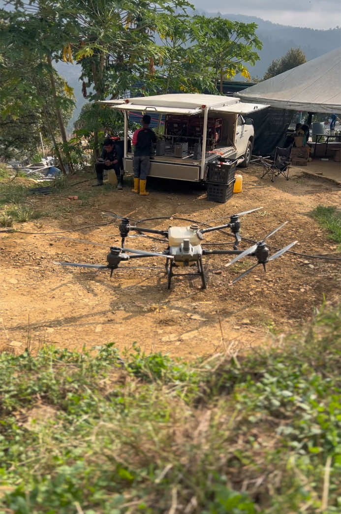 Yang mana satu idaman hati ni 😍. T40 ke T50?  #doremidrone #durianmusangking #musangking #durian #drone #djit50 #djit40 #djiagriculture 