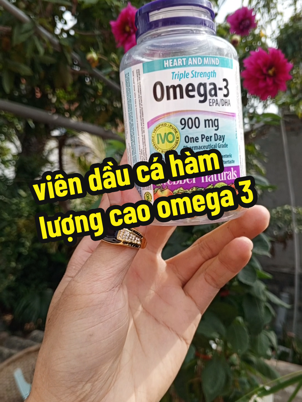 omega 3 viên dầu cá hàm lượng cao #ongchudungthat 