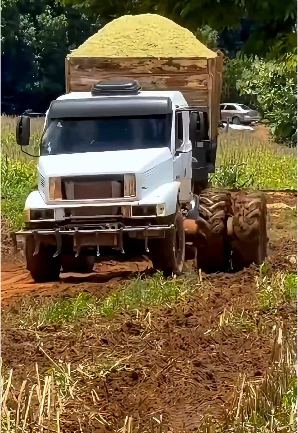 Muito barro aqui na lavoura  . . . #caminhaotop #caminhaoqualificado #caminhaoparastatus #caminhoneiros #caminhao #caminhoneiro #carreta #cabelobatateiro #caminhaoarqueado 