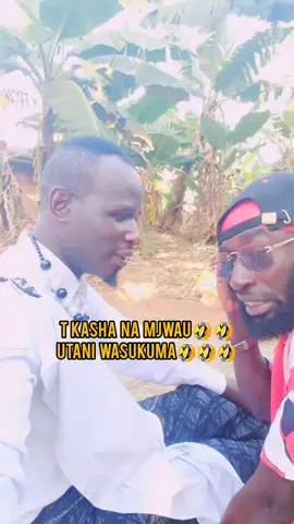 😀 T KASHA NA MJWAU 🤣 WASUKUMA 🤣 #yp #ugandacomedian #ugandacomed #kenyacomedy #tanzaniatiktok #kenyatiktok #ugandatiktok #Malaysia #Malawi #congo #newyork #india #fyppppppppppppppppppppppp #funnyvideo #goviral #goviralgo #fyppageviral #viralvideo #viralvideotiktok #video #videos #videotrending #comedytrending #swahili #england #english #traditional @davido @#KAISIKI @RONY @Christian Del Grosso # fyp #tanzaniatiktok #kenyatiktok #ugandatiktok #india #tanzaniatiktok #kenyatiktok #ugandatiktok #india #mumbai #dubai #newyork #viralvideo #ugandacomed #ugandacomedian #fyp #funnyvideos #trend #goviral #videotrending #trending #comedyvideo #fyppageviral #nairobi #dar #newyork #goviralgo #goviral #funnyvideo #kenyacomedy #fyppppppppppppppppppppppp @RONY @#KAISIKI #india #creatorsearchinsights #creatorrevolution #comedyvideo #funnyvideo #kenyacomedy #tiktoknews #tiktokviral 