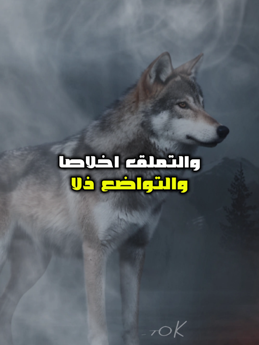 سفي على زمنٍ أصبح فيه الكذب ذكاء، والعدل ضعفًا، والطيبة غباء.... #اقتباسات #أقوال #أقوال_وحكم #حالات_واتس #كلمات #تيك_توك #للعقول_الراقية_فقط #خواطر_ملهمة #خواطر  #كلمات #اكسبلور #اكسبلورexplore #للعقول_الراقية_فقط🤚🏻💙 #عباراتكم #عبرات_من_القلب💔💔 #عبارات_حزينه💔 