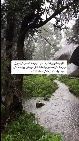 #هزاع_البلوشی #قران_كريم #قران#quran_alkarim #اجر_لي_ولكم #ماهرالمعيقلي 